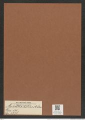 Auliscus textilis A. Schm. (de-Toni-Nr.: Genus 171, Species 4378) Zeichnungen Sammlung Grunow Mappe 04328 (Herbarium_W_Grunow_drawings_Folder_04328)